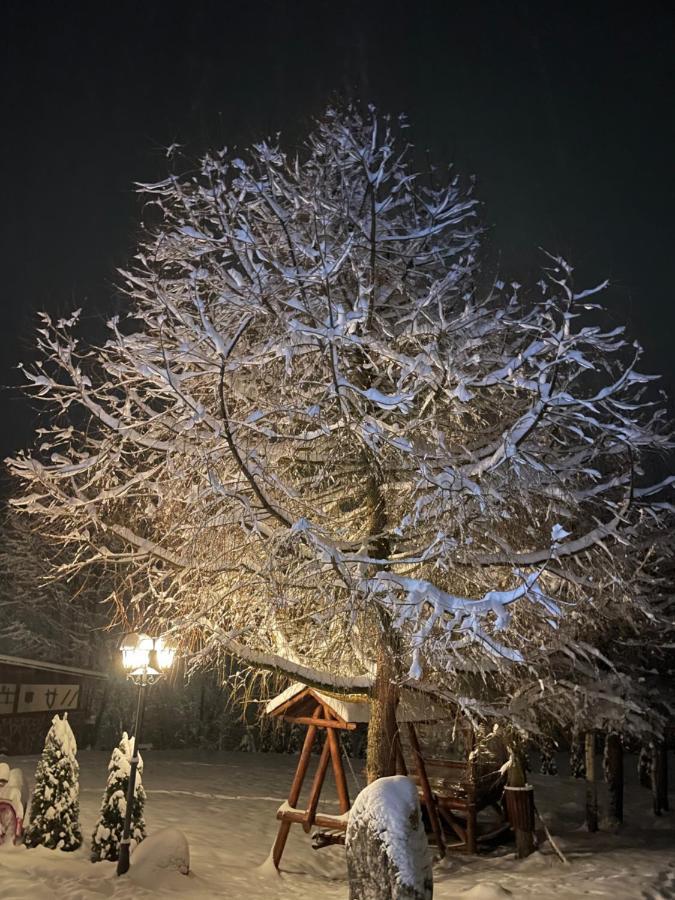 Cabana Din Groapa Frumoasa Rîşnov Exteriör bild