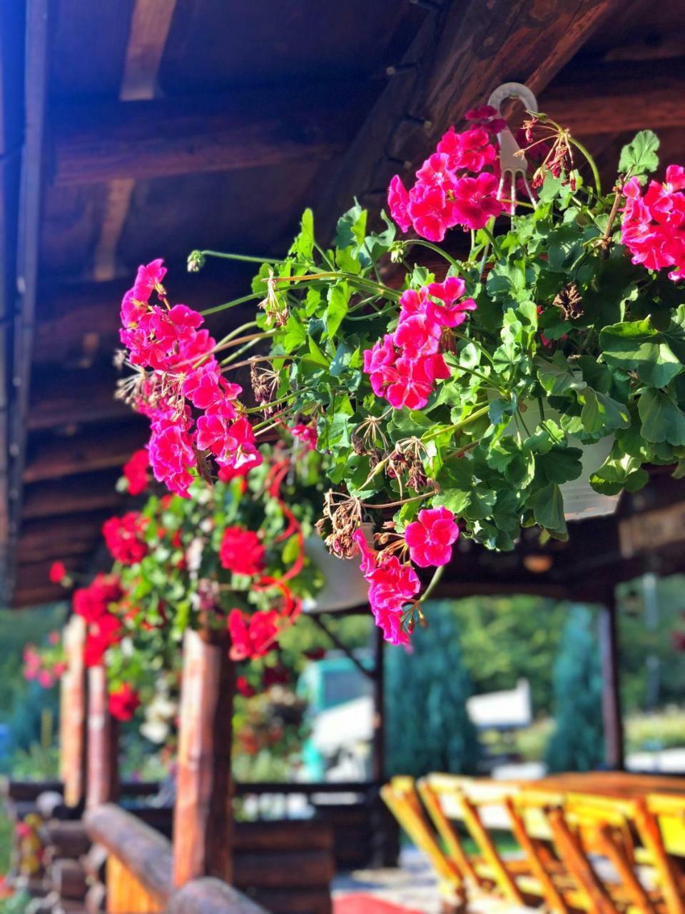 Cabana Din Groapa Frumoasa Rîşnov Exteriör bild